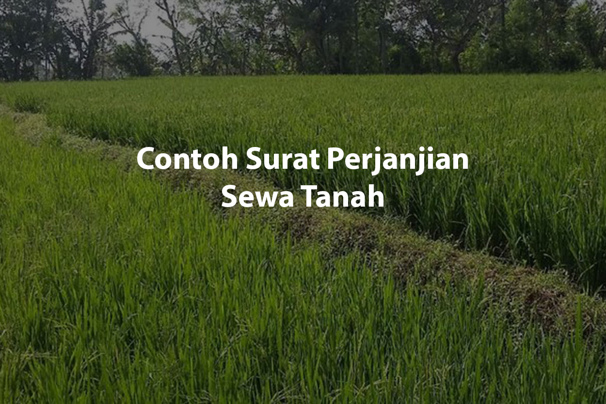 Sewa Tanah