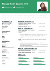 Contoh CV Dokter Perawat Nakes Untuk Melamar Kerja