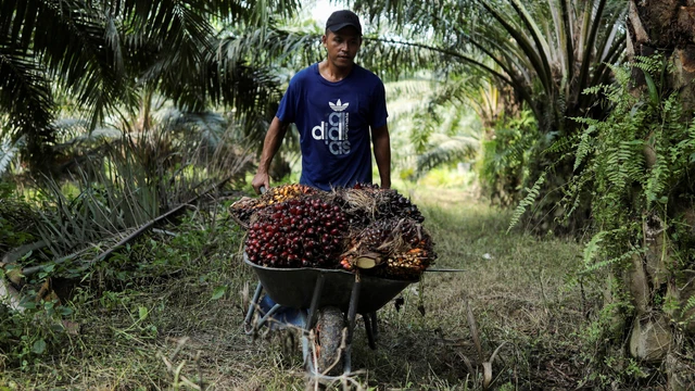 Cara dan Syarat Untuk Kerja di Malaysia
