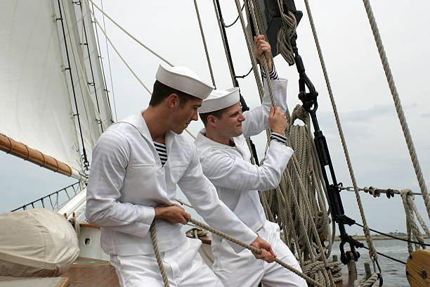 Contoh CV Pelaut dan Cara Membuatnya