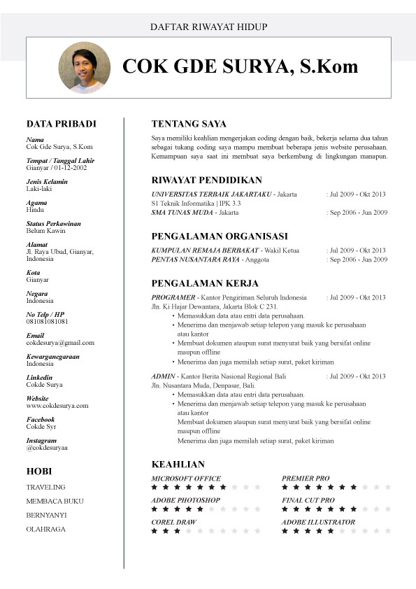 Template CV Amed